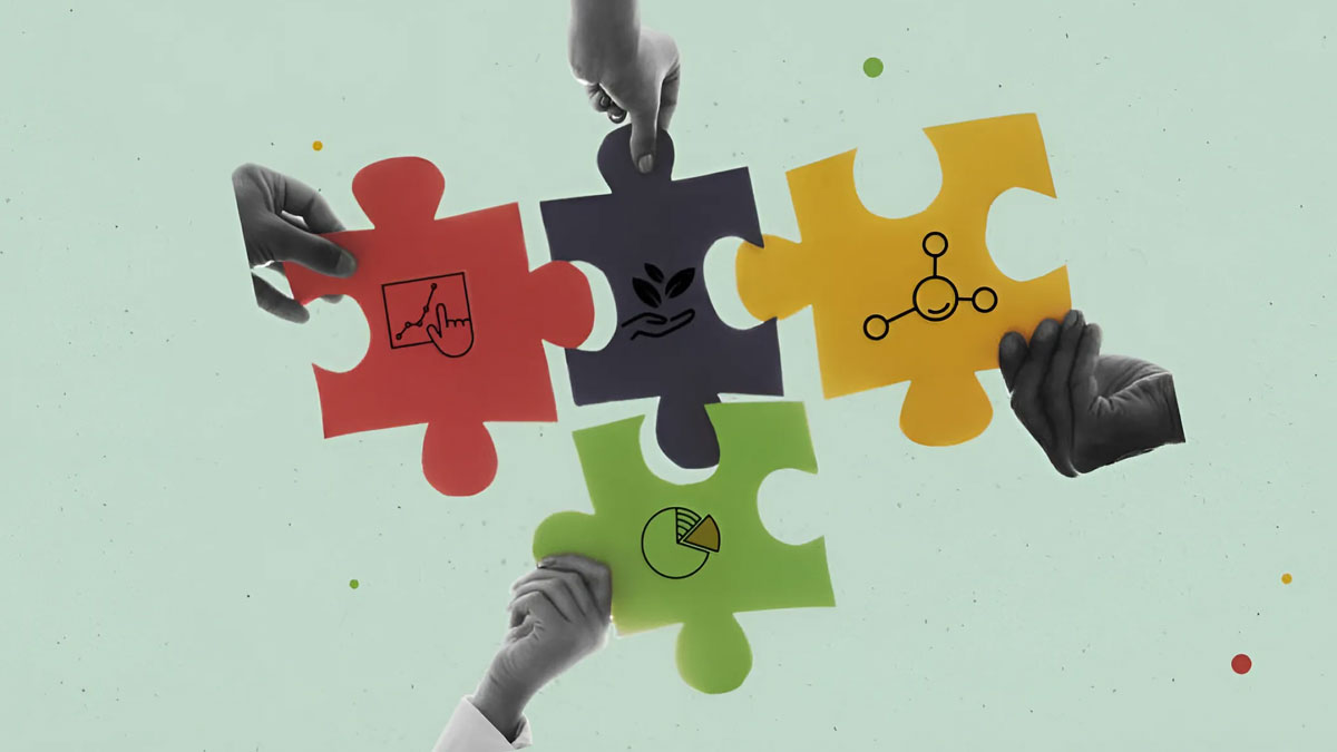Research International Collaboration: Obstacles and Solutions Strategies